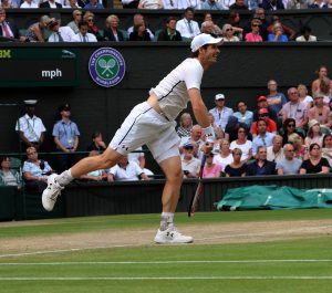 Andy Murray in the Quarter Finals of the 2016 Championships [photo by David Musgrove]